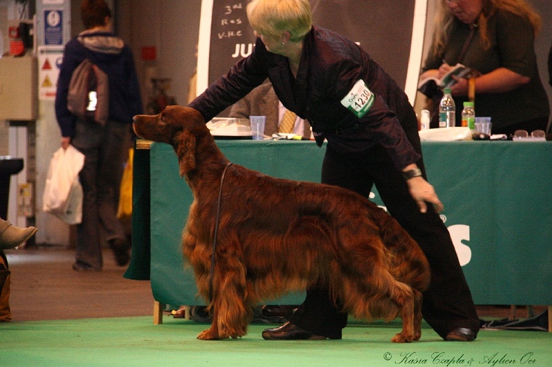 Crufts2011 823.jpg